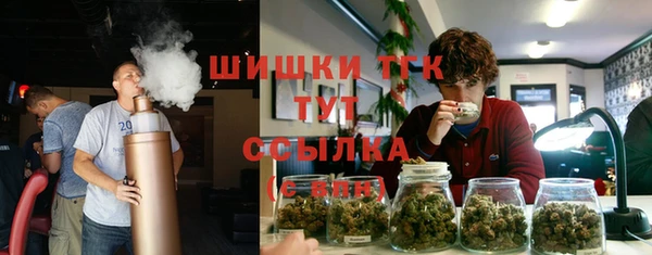 тгк Майский