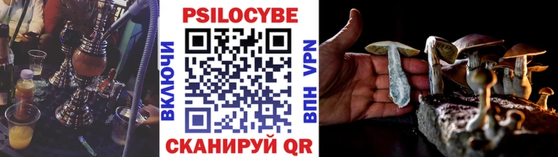 Купить где  Шумерля  Галлюциногенные грибы мицелий 