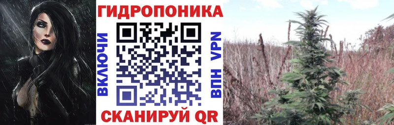 Конопля семена  Купить где  Шумерля 